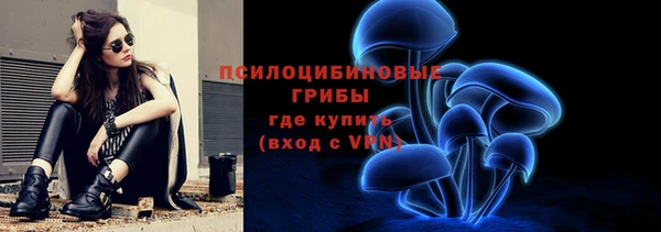 ешки Алексин