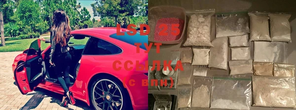 индика Алексеевка