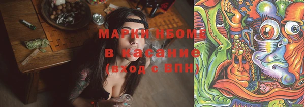 ешки Алексин