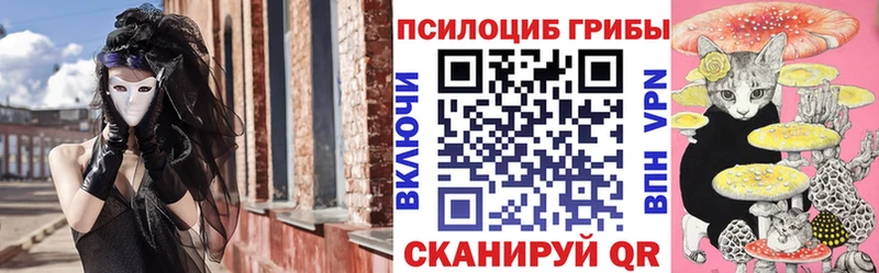 где купить наркоту  Сокол  Псилоцибиновые грибы MAGIC MUSHROOMS 